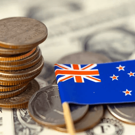 Cost_of_Studying_in_New_Zealand (1)